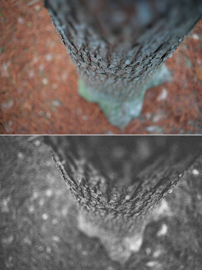 vsco-27 Kopie